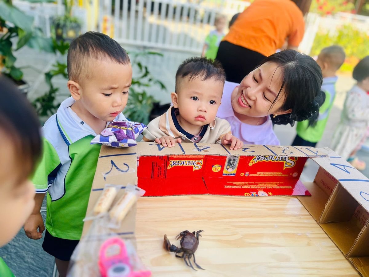 Ảnh hoạt động