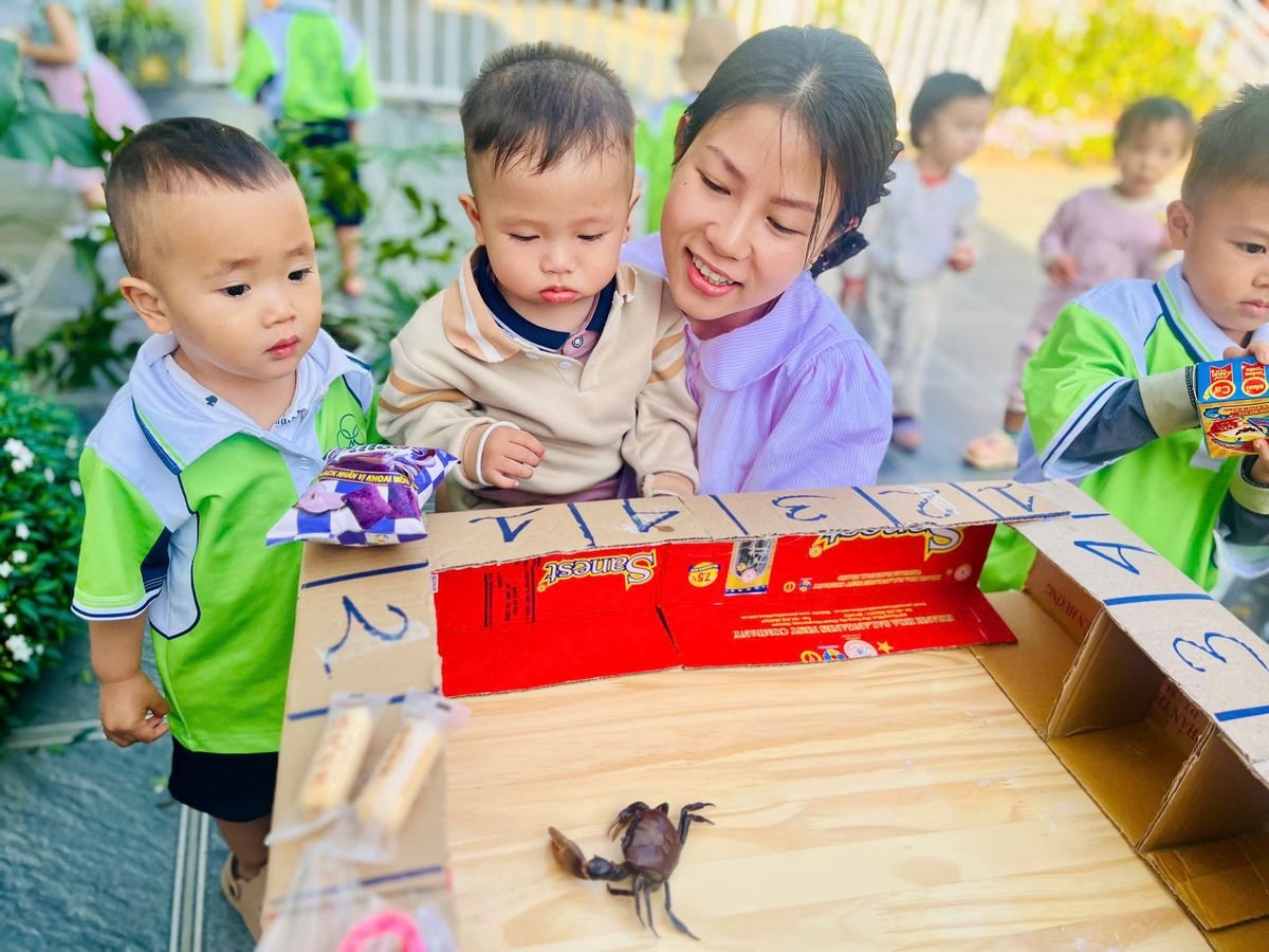 Ảnh hoạt động