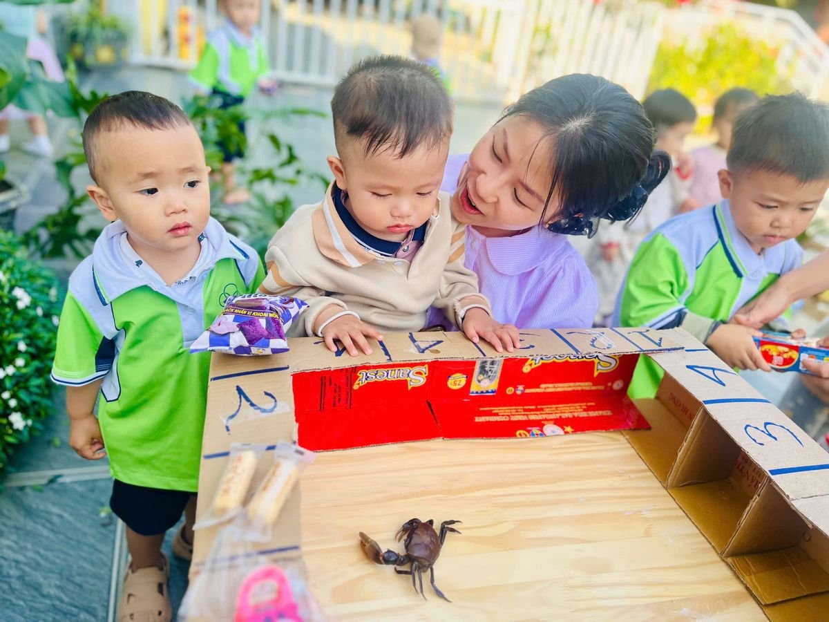 Ảnh hoạt động