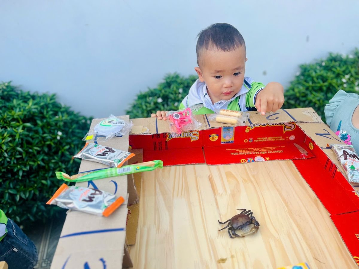 Ảnh hoạt động