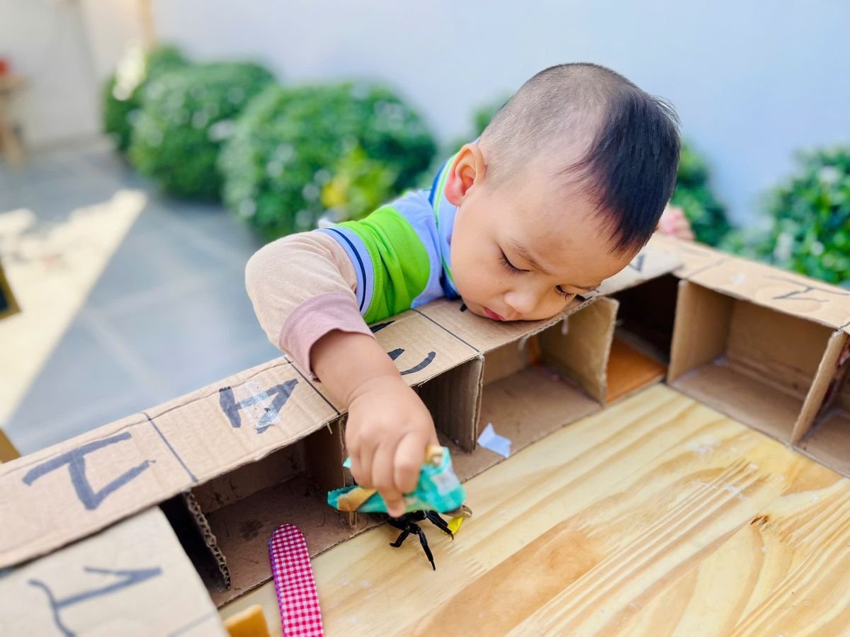 Ảnh hoạt động