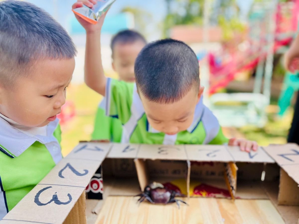 Ảnh hoạt động