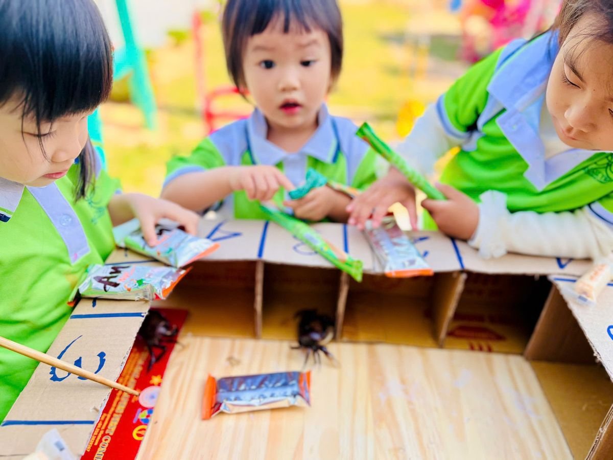 Ảnh hoạt động