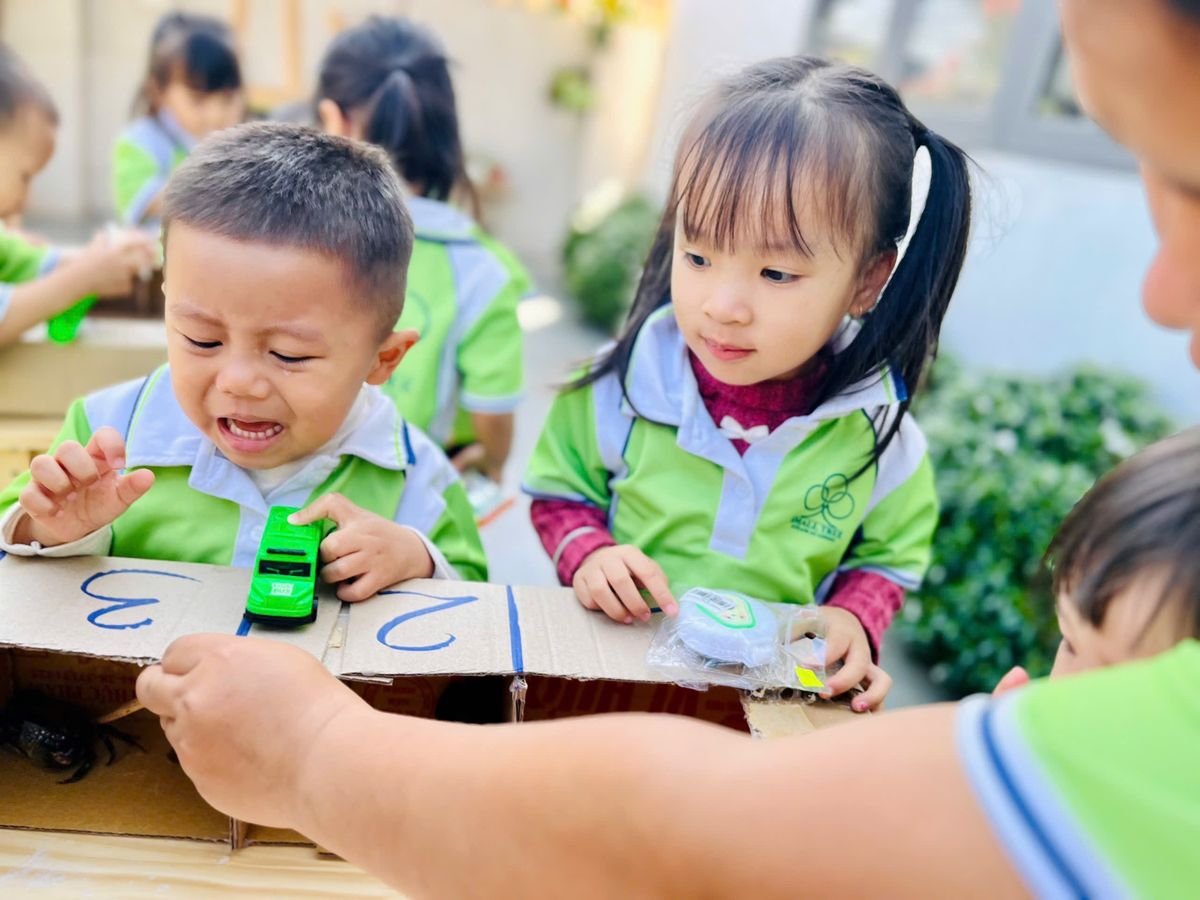 Ảnh hoạt động