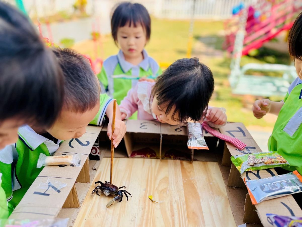 Ảnh hoạt động