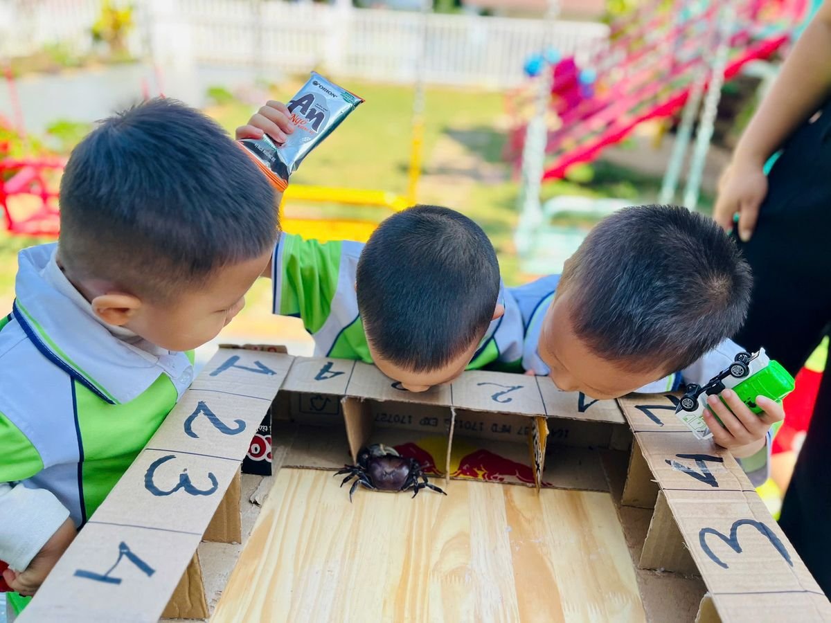 Ảnh hoạt động