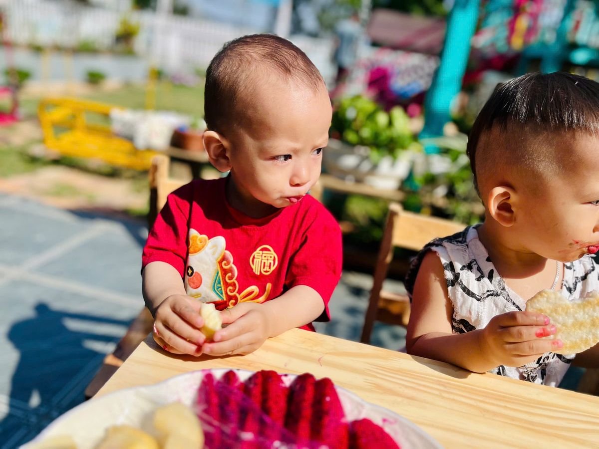 Ảnh hoạt động