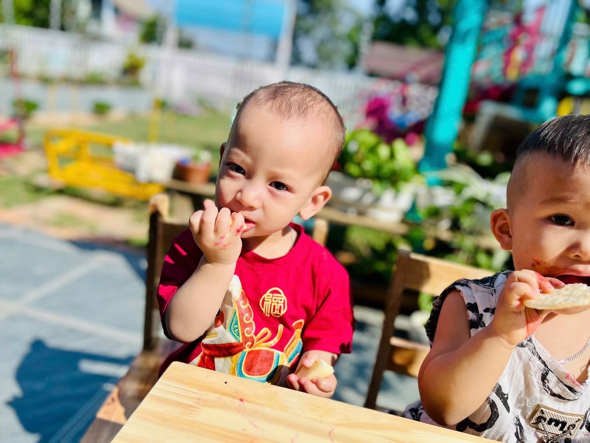 Ảnh hoạt động