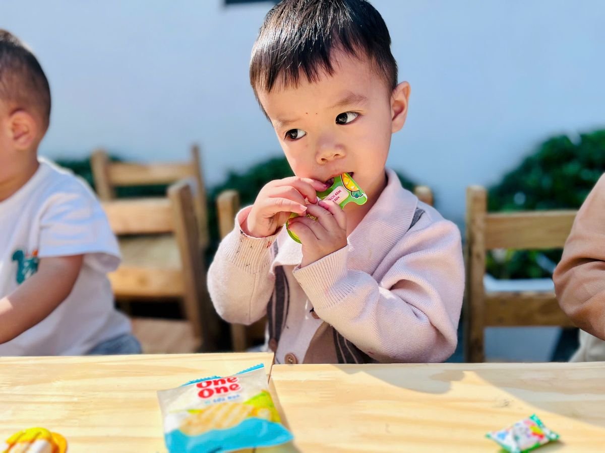 Ảnh hoạt động