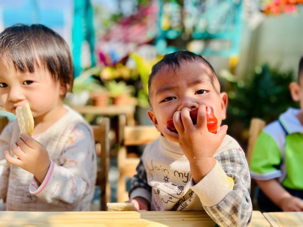 Ảnh hoạt động