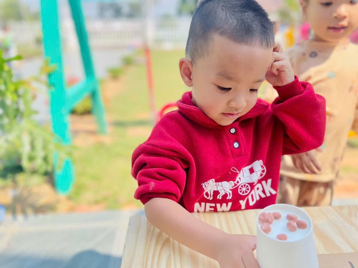 Ảnh hoạt động