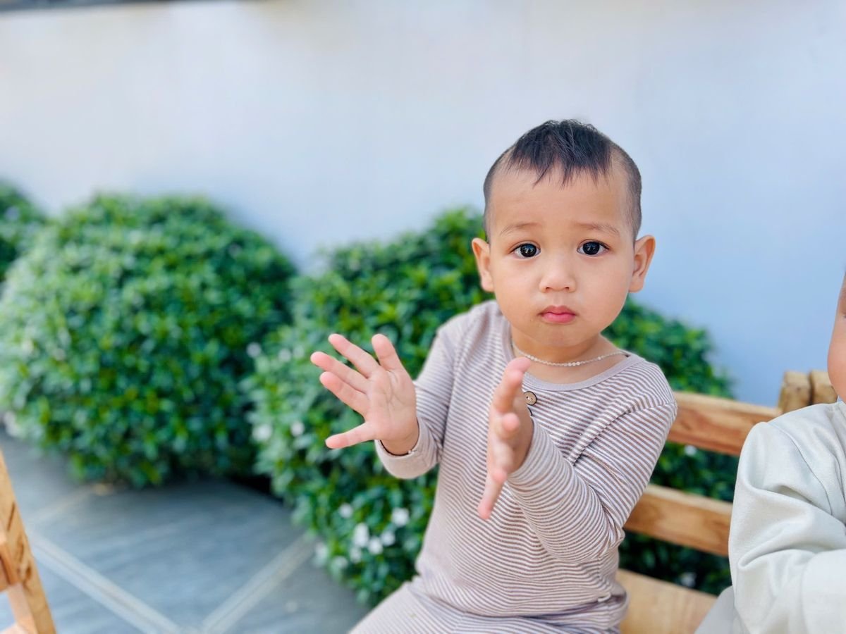 Ảnh hoạt động