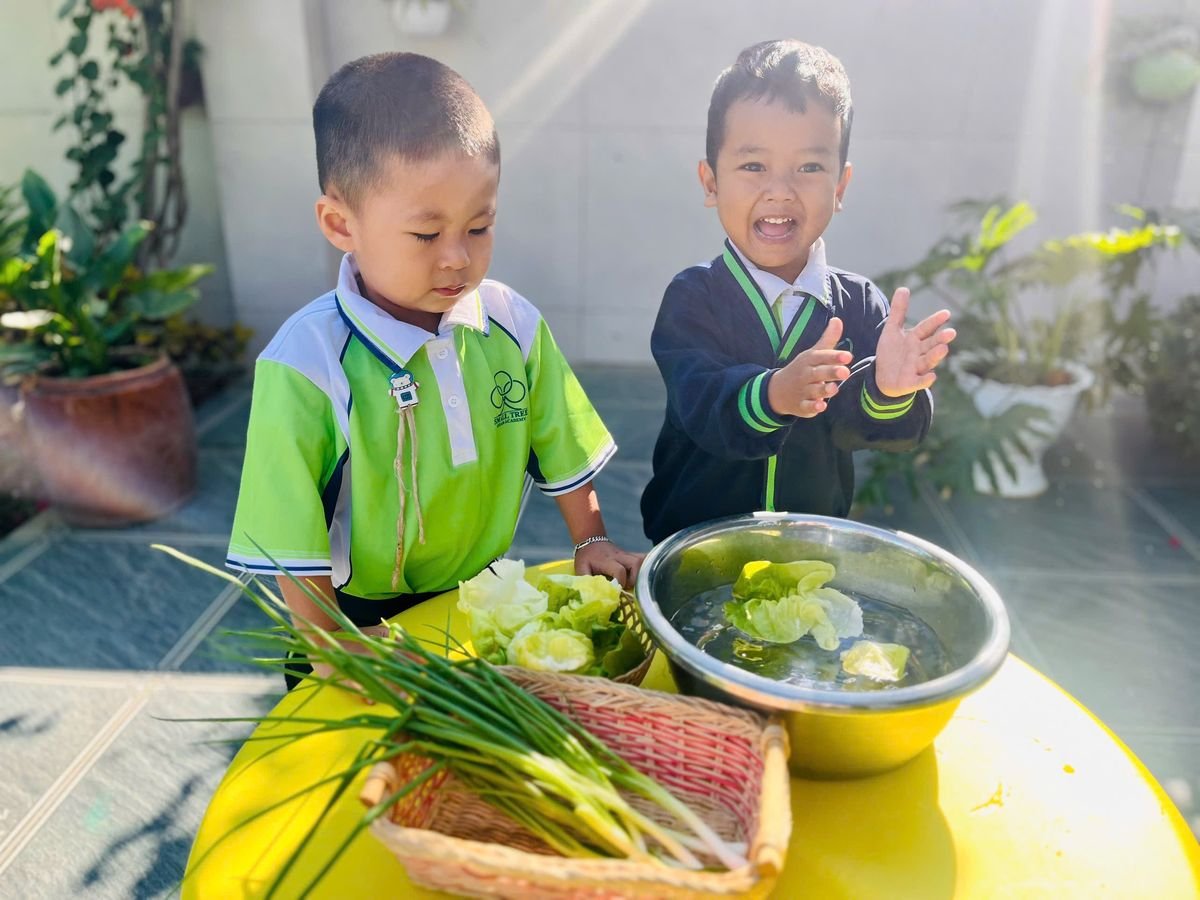 Ảnh hoạt động