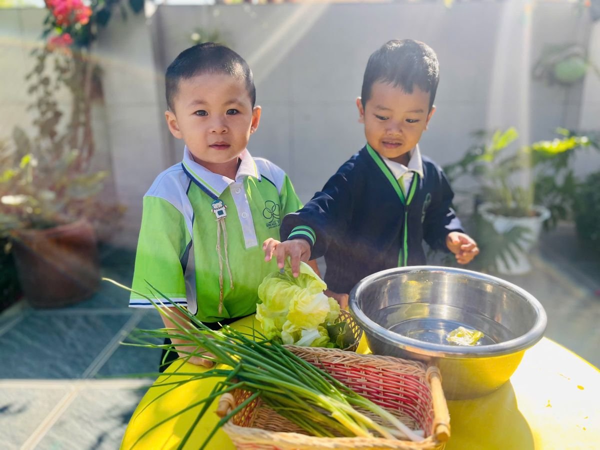 Ảnh hoạt động