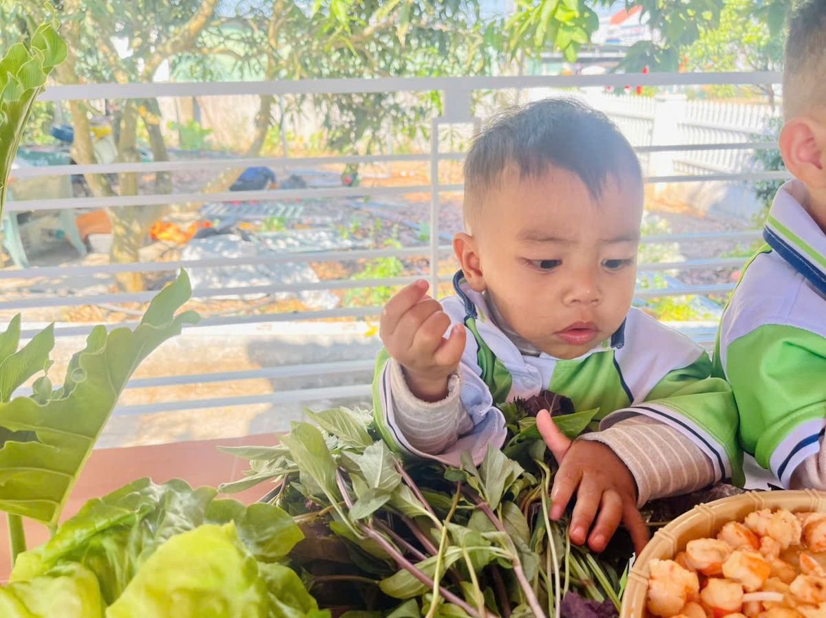 Ảnh hoạt động