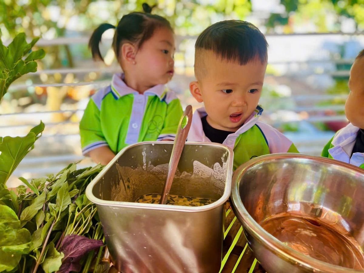 Ảnh hoạt động