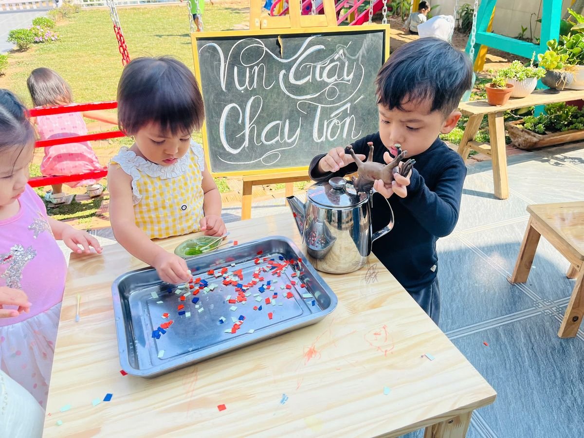 Ảnh hoạt động