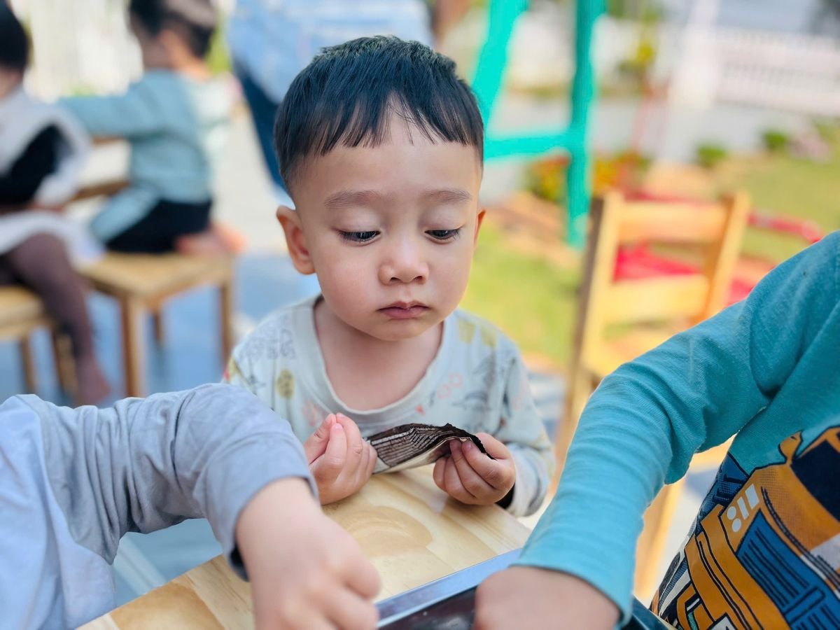 Ảnh hoạt động