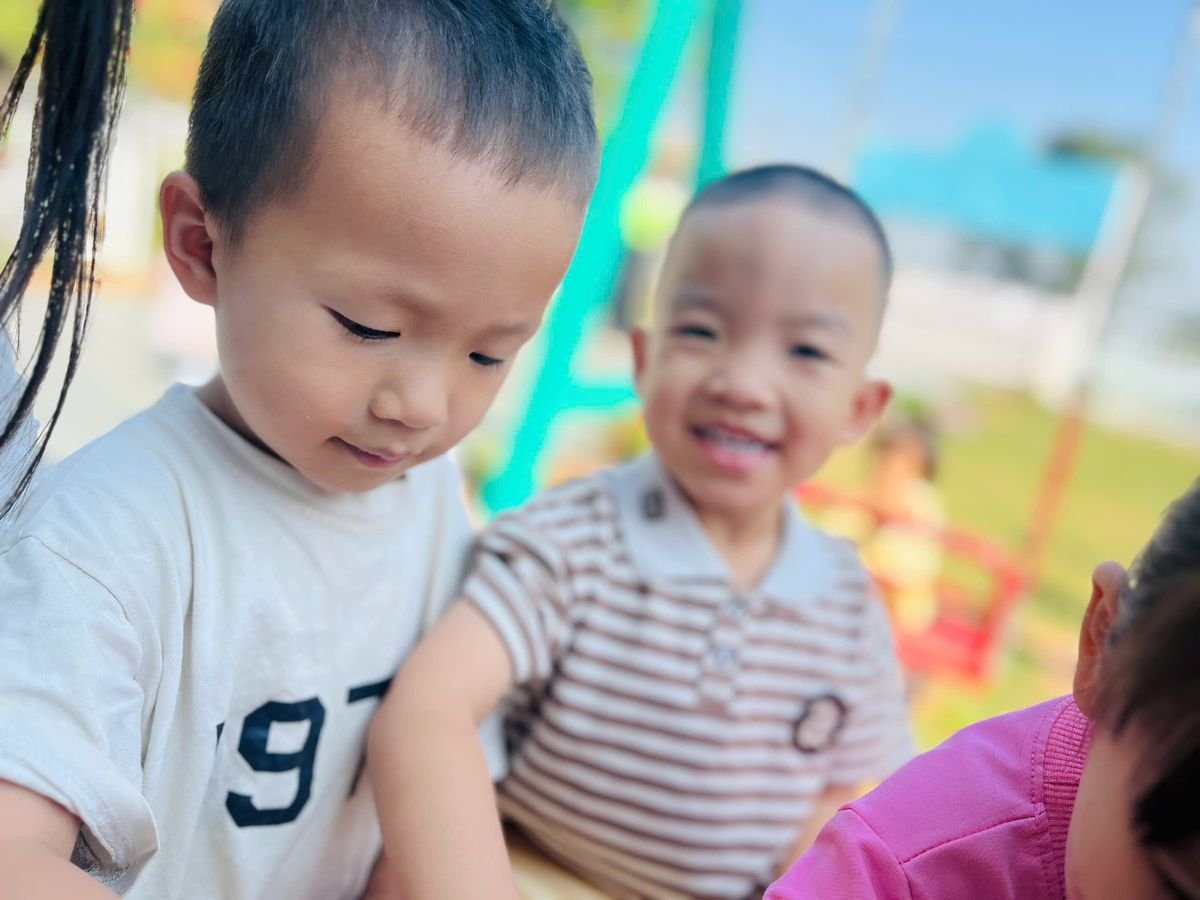 Ảnh hoạt động