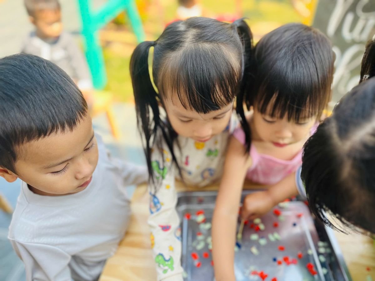 Ảnh hoạt động