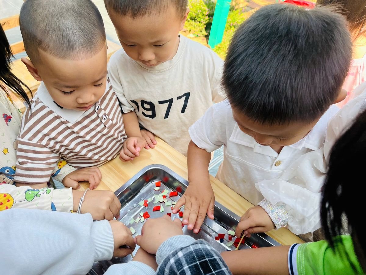 Ảnh hoạt động