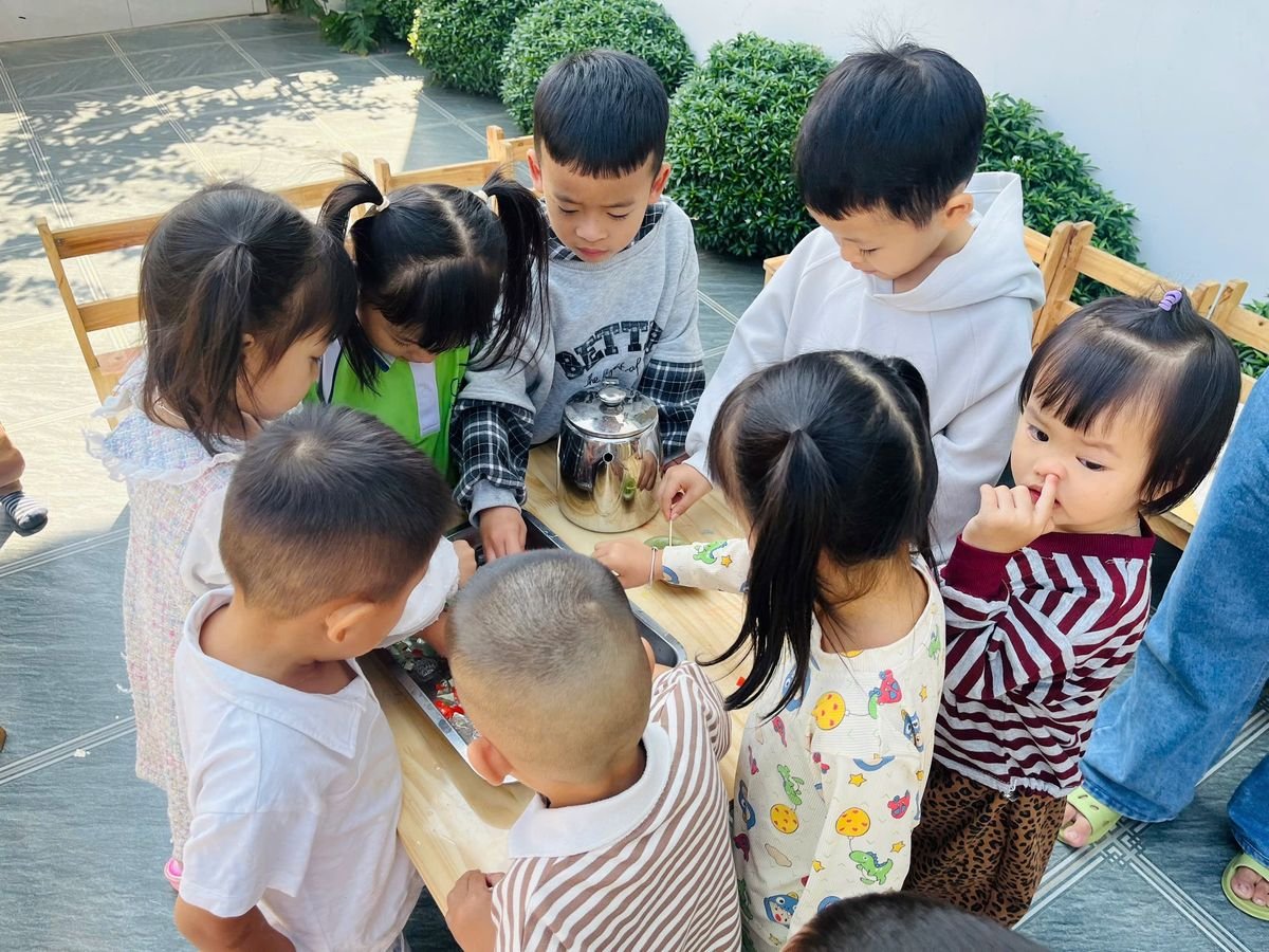 Ảnh hoạt động