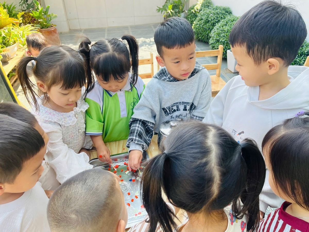 Ảnh hoạt động