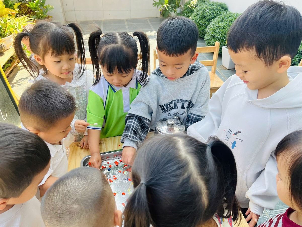 Ảnh hoạt động