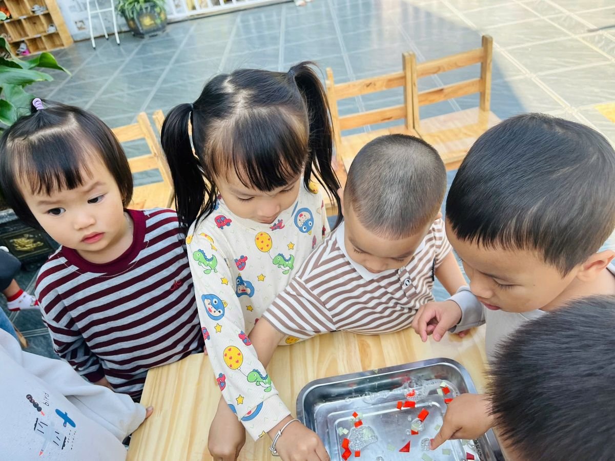 Ảnh hoạt động