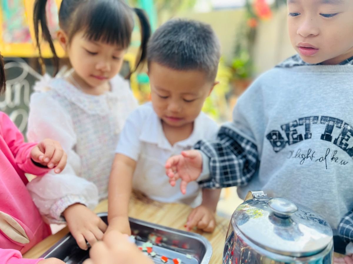 Ảnh hoạt động