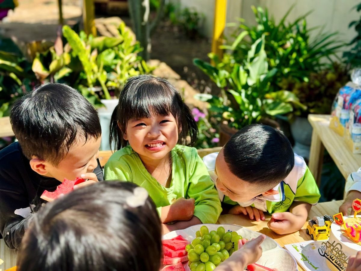 Ảnh hoạt động