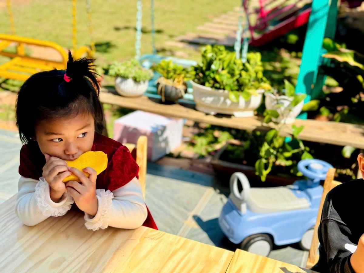 Ảnh hoạt động