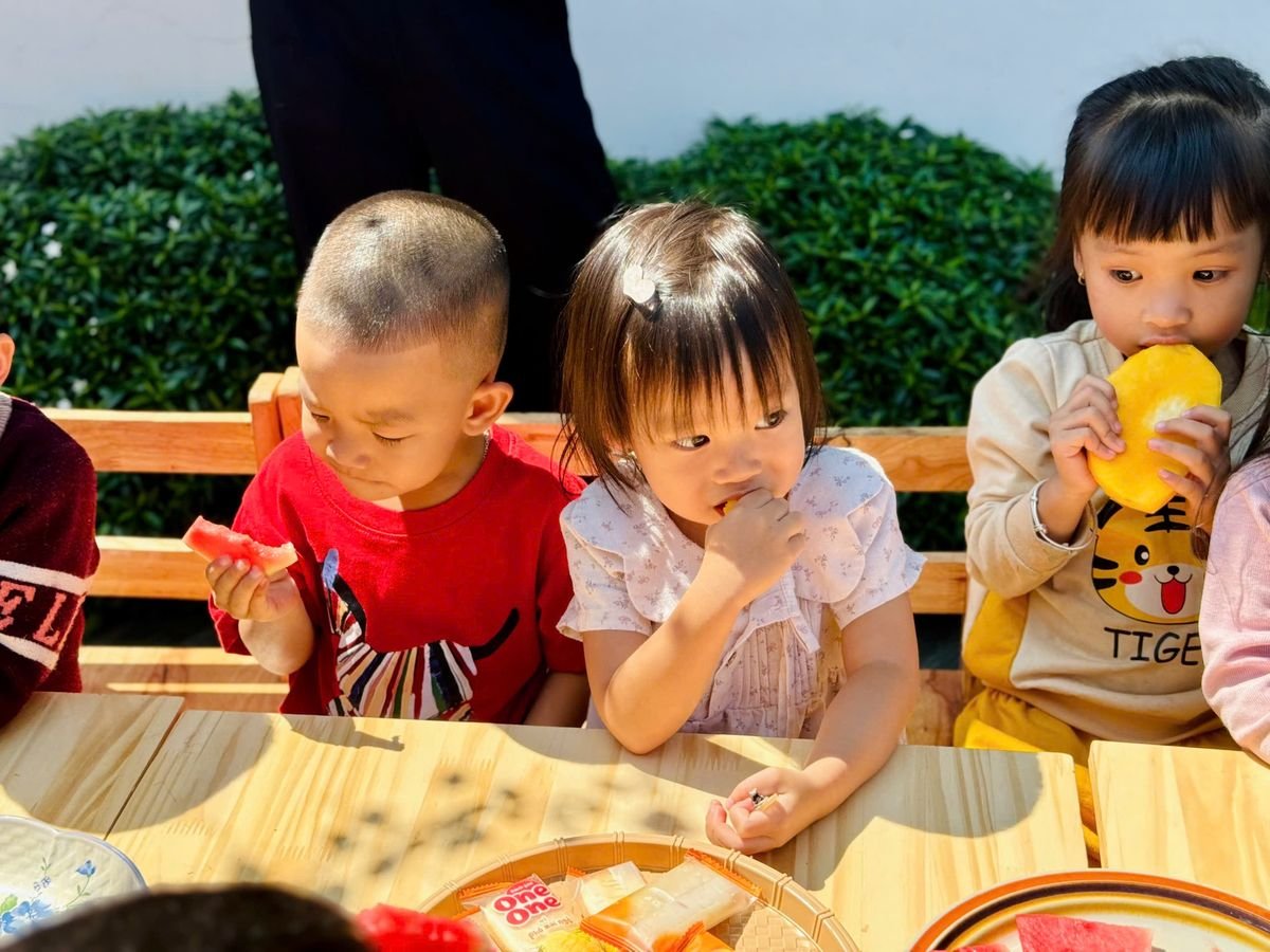 Ảnh hoạt động