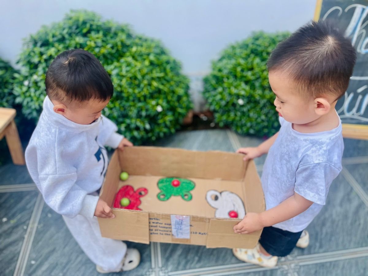 Ảnh hoạt động