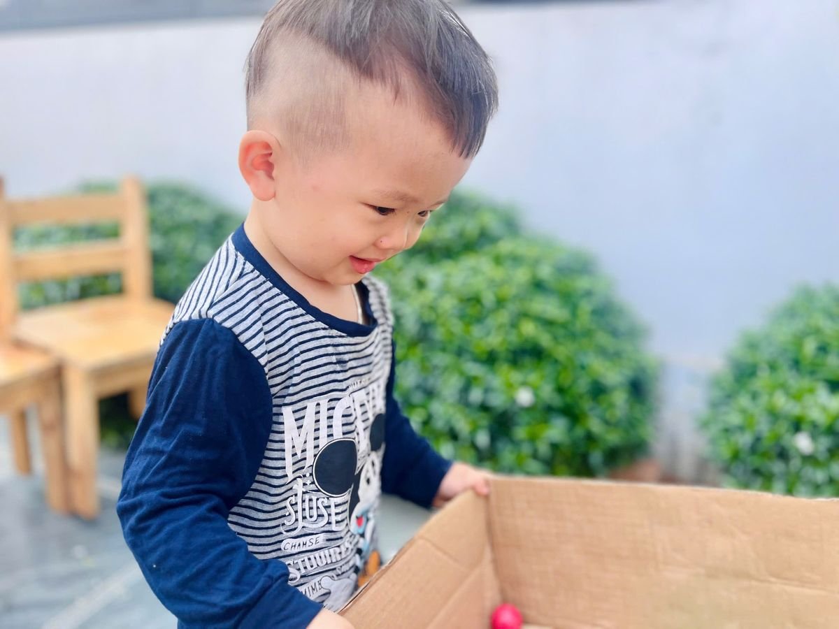 Ảnh hoạt động