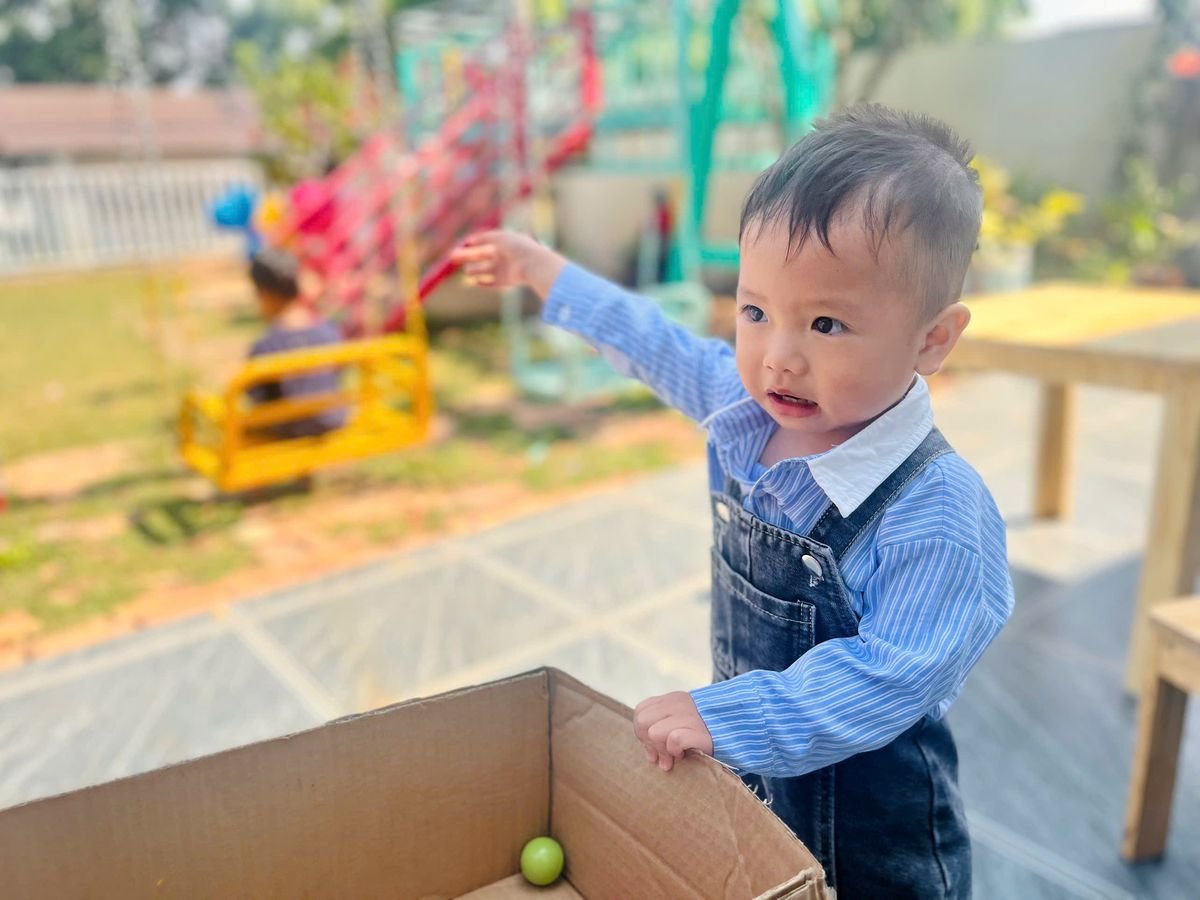 Ảnh hoạt động