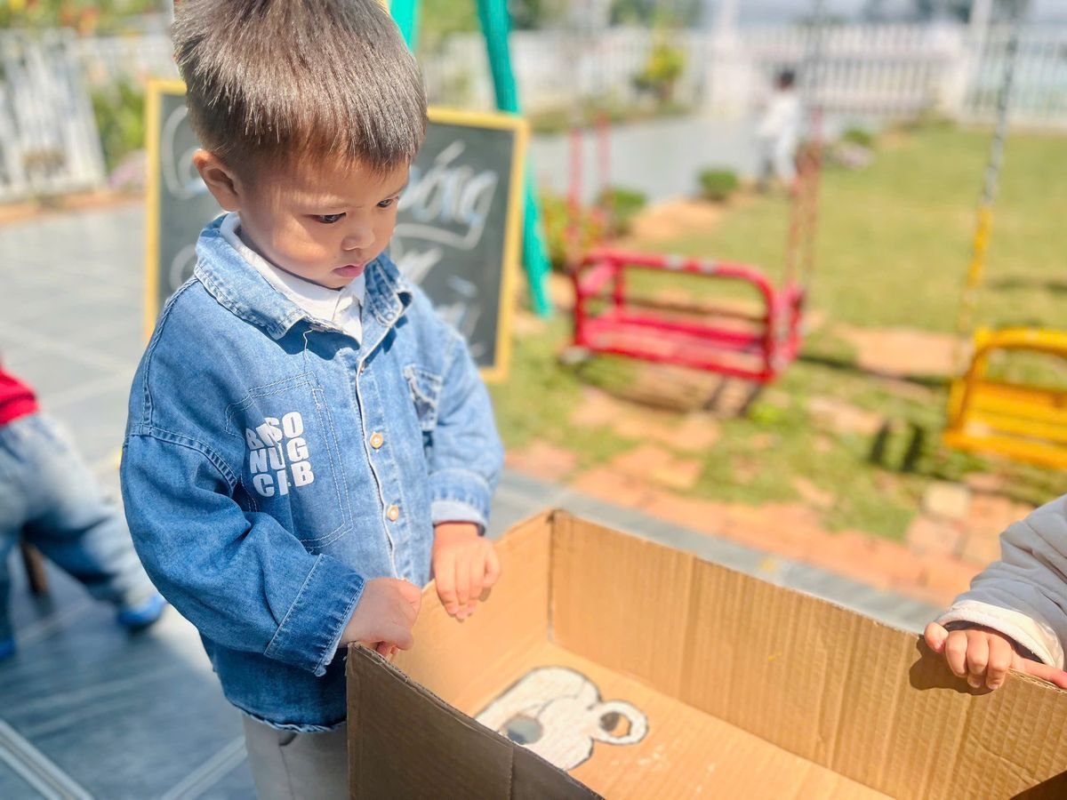 Ảnh hoạt động