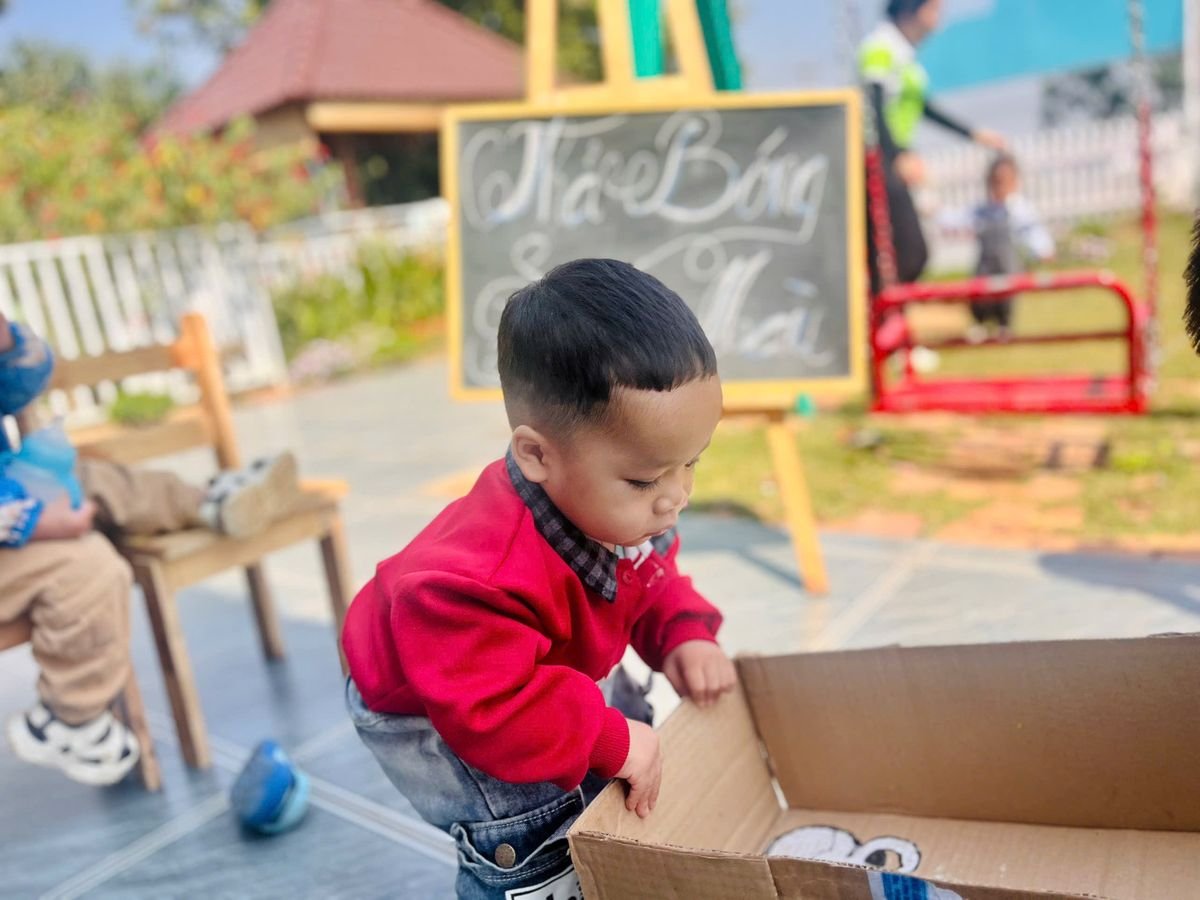 Ảnh hoạt động