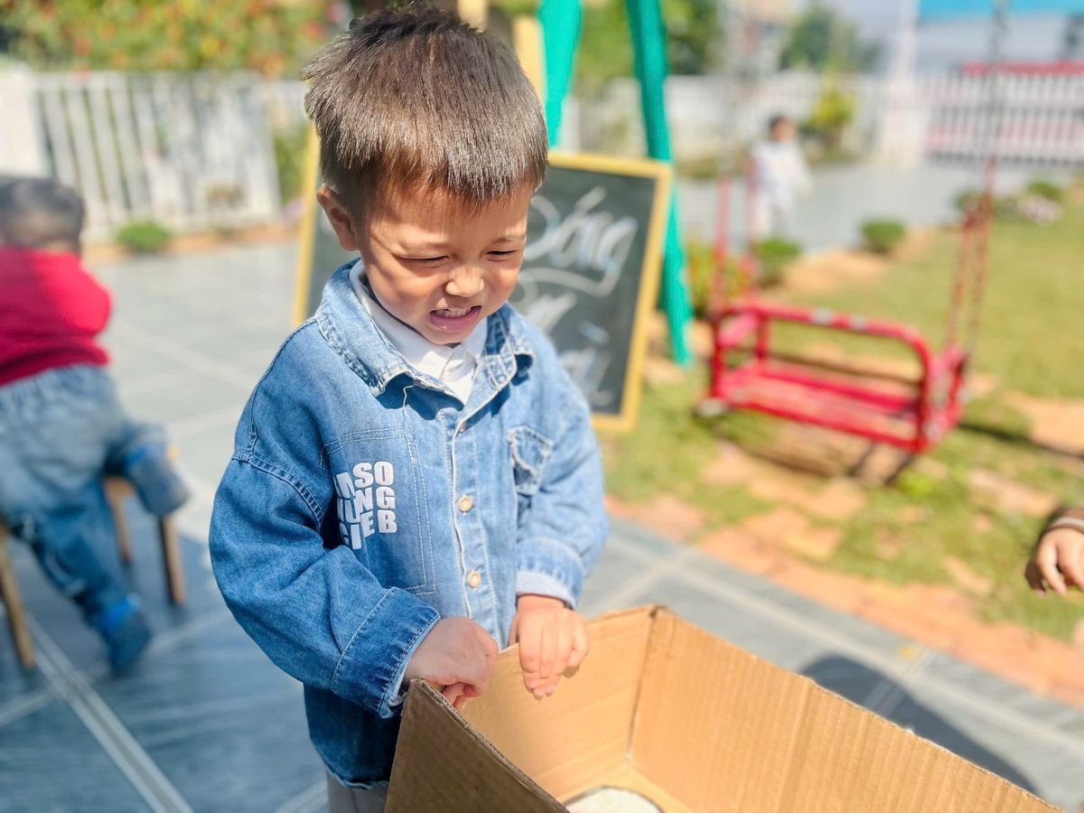 Ảnh hoạt động