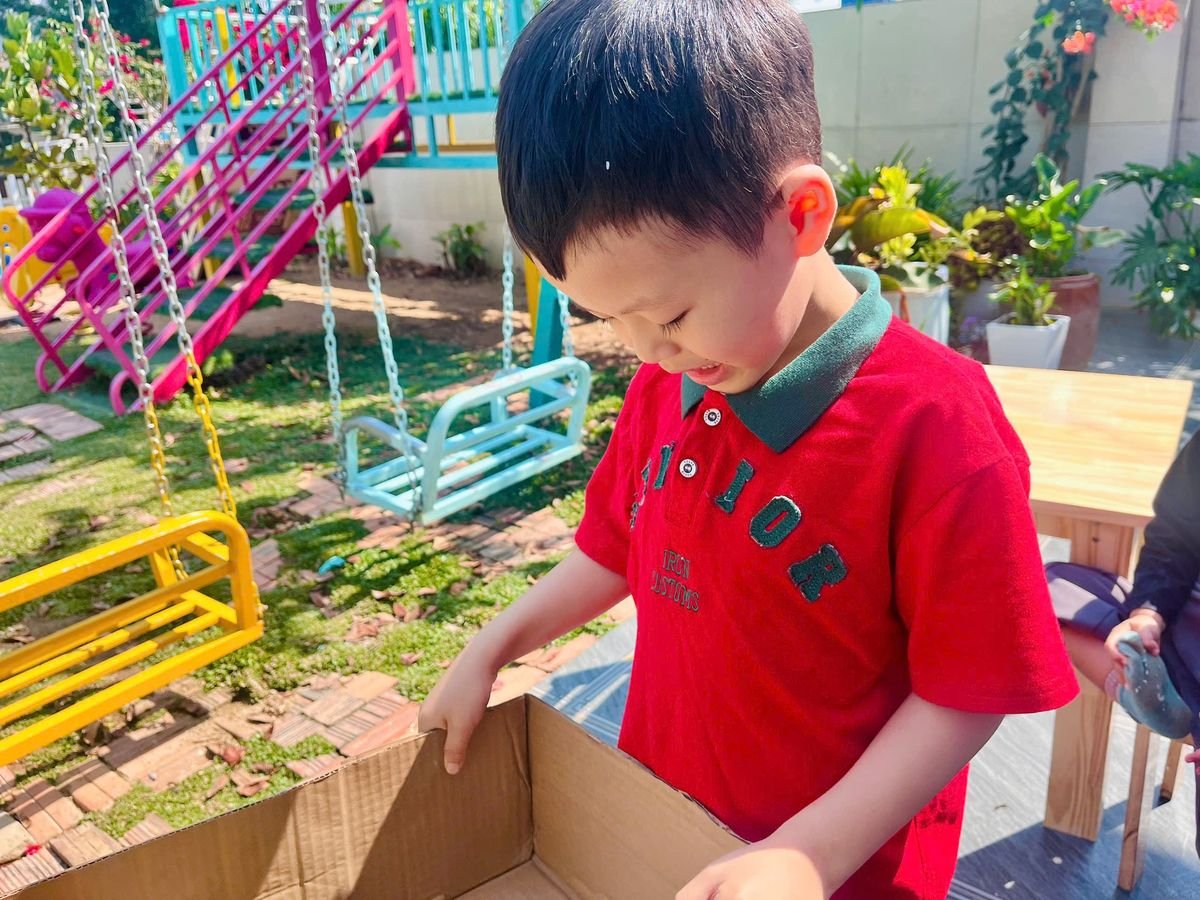 Ảnh hoạt động