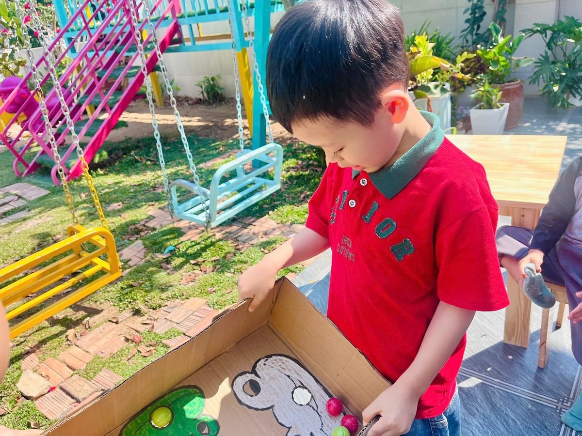 Ảnh hoạt động