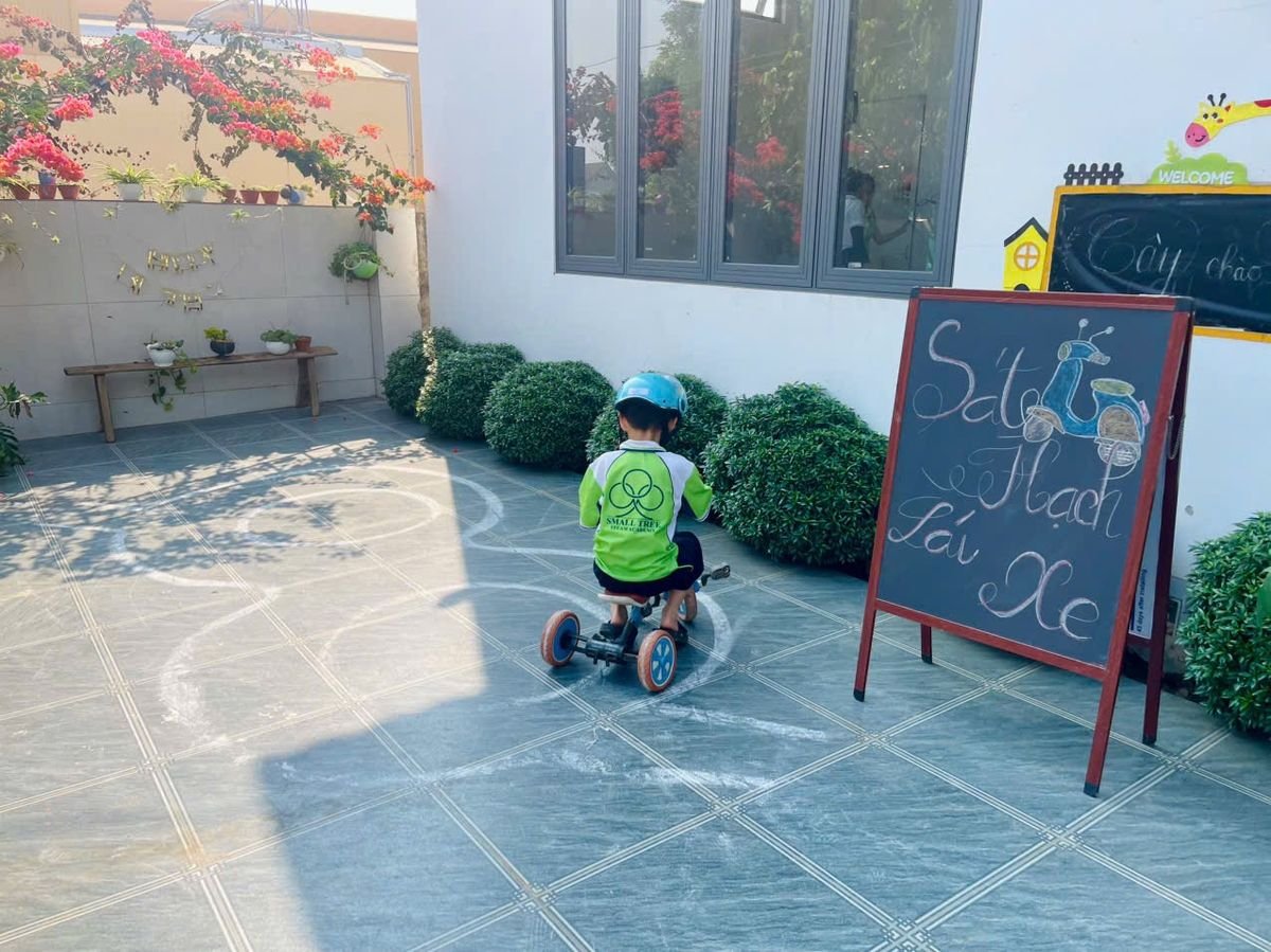 Ảnh hoạt động