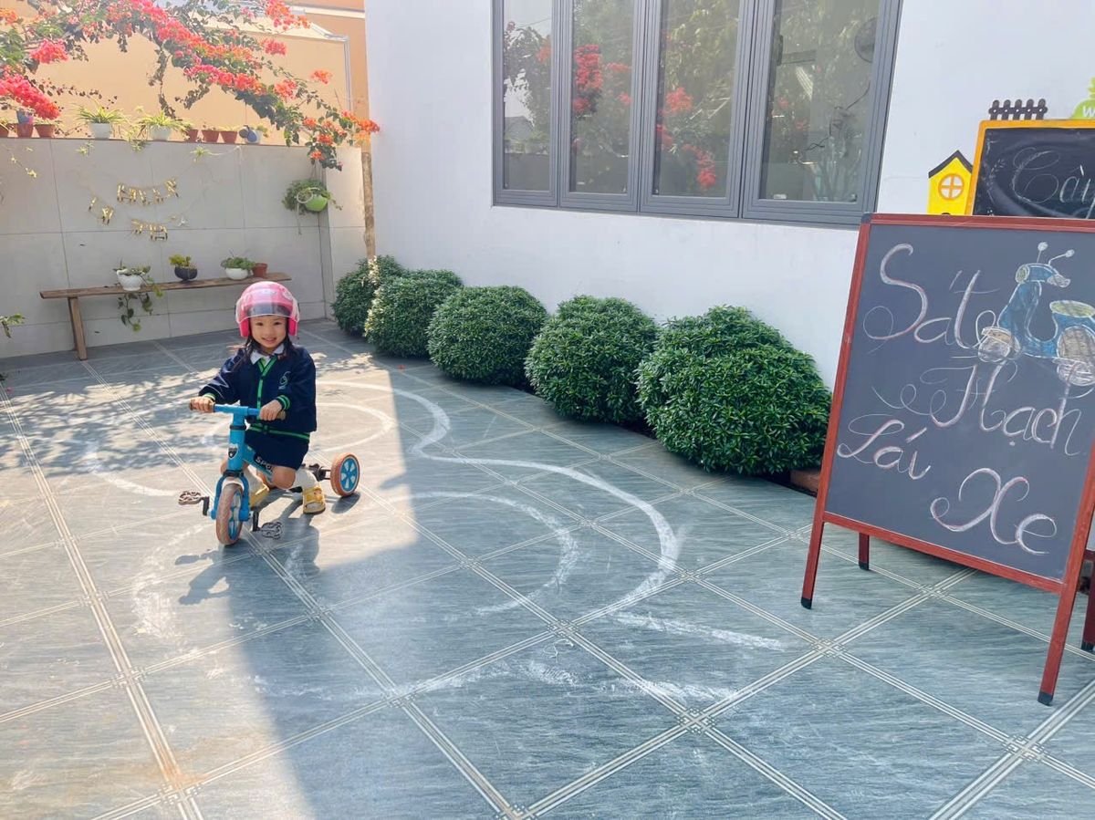 Ảnh hoạt động