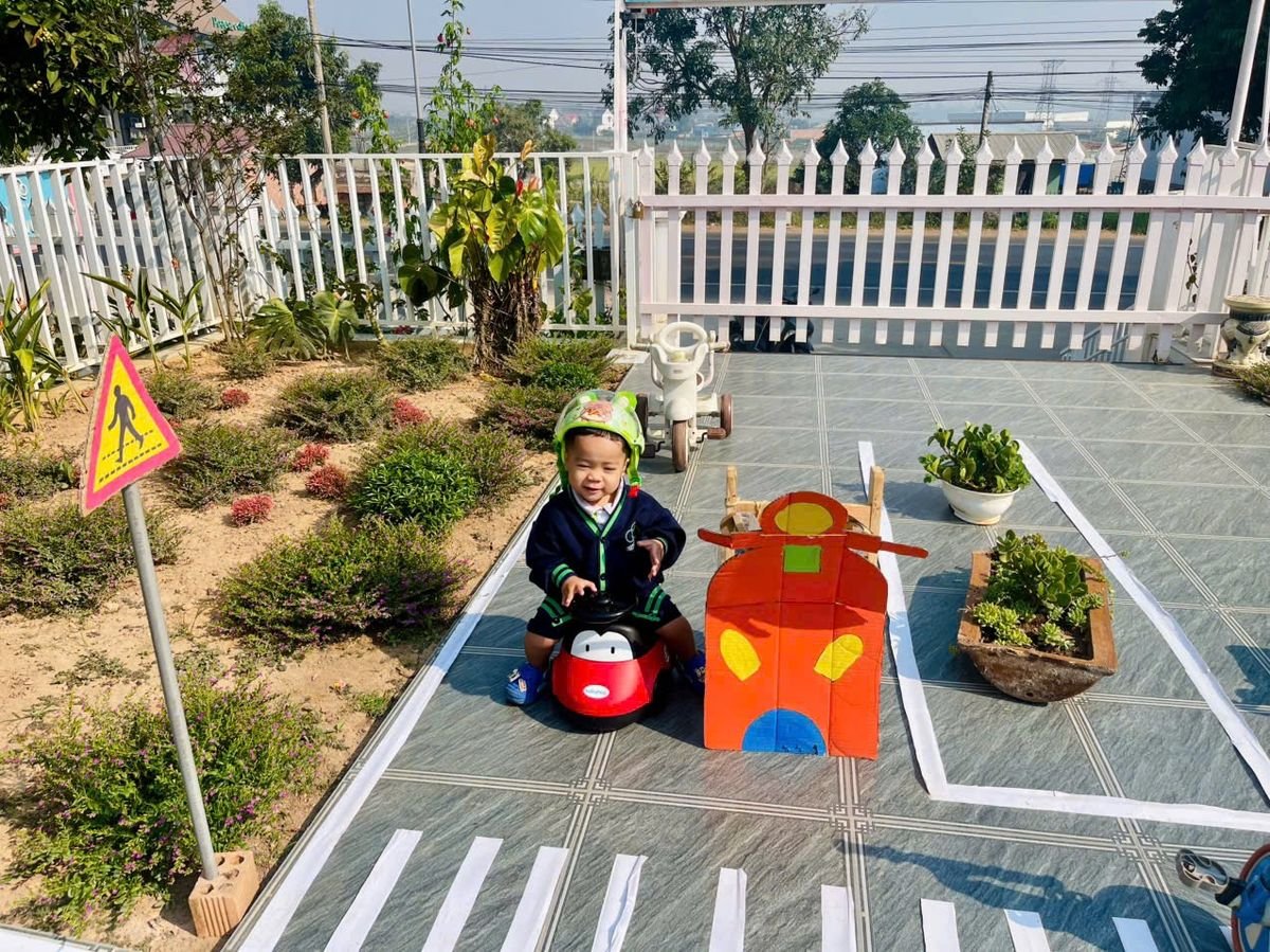 Ảnh hoạt động