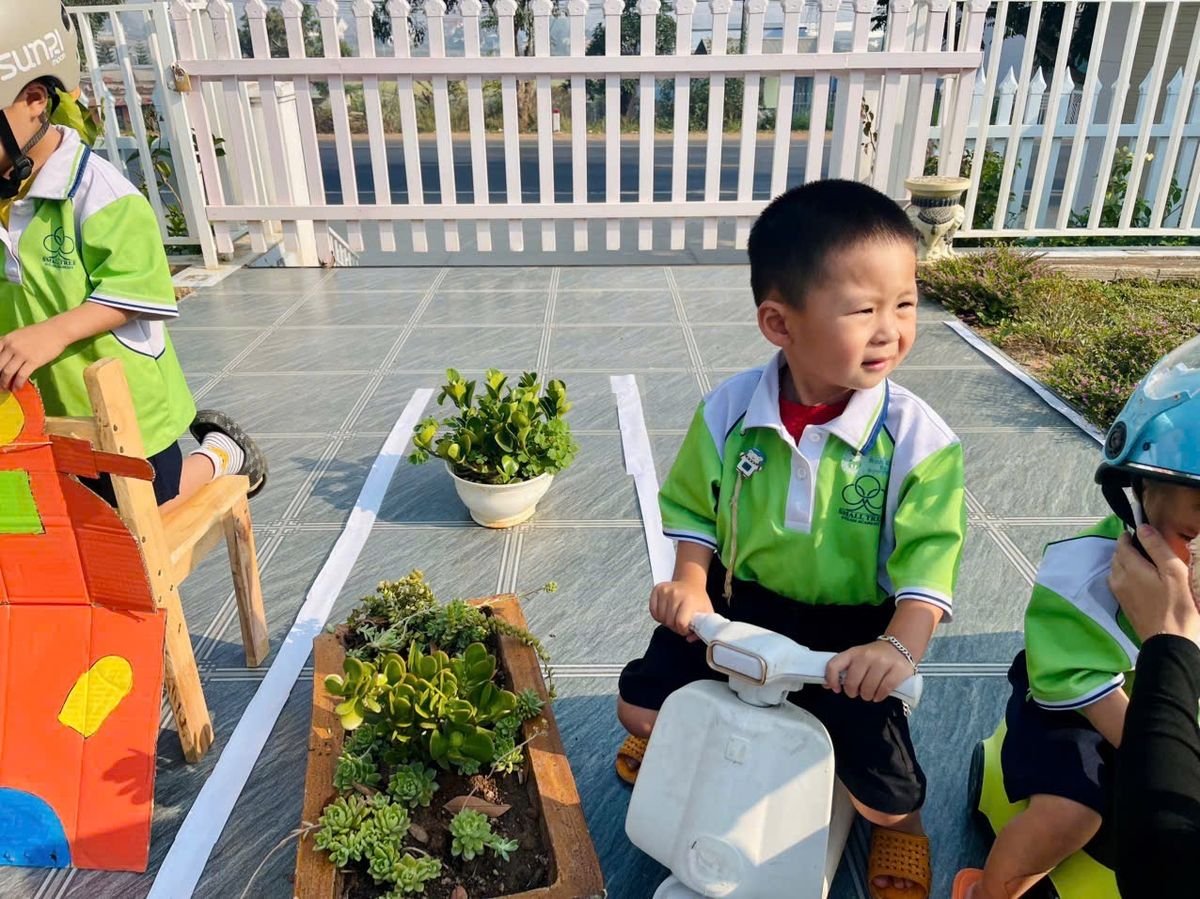 Ảnh hoạt động