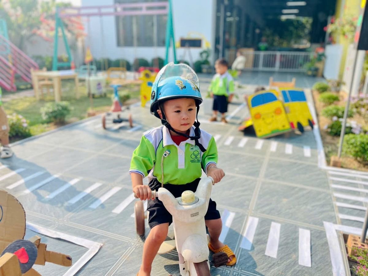 Ảnh hoạt động