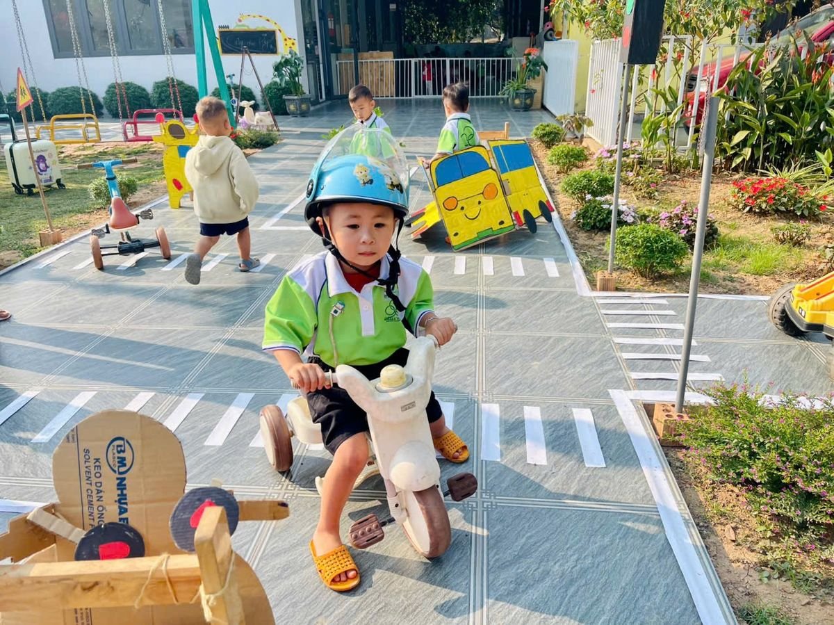 Ảnh hoạt động