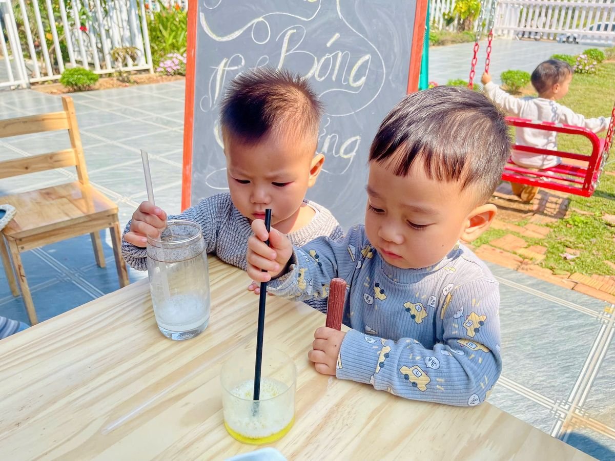 Ảnh hoạt động