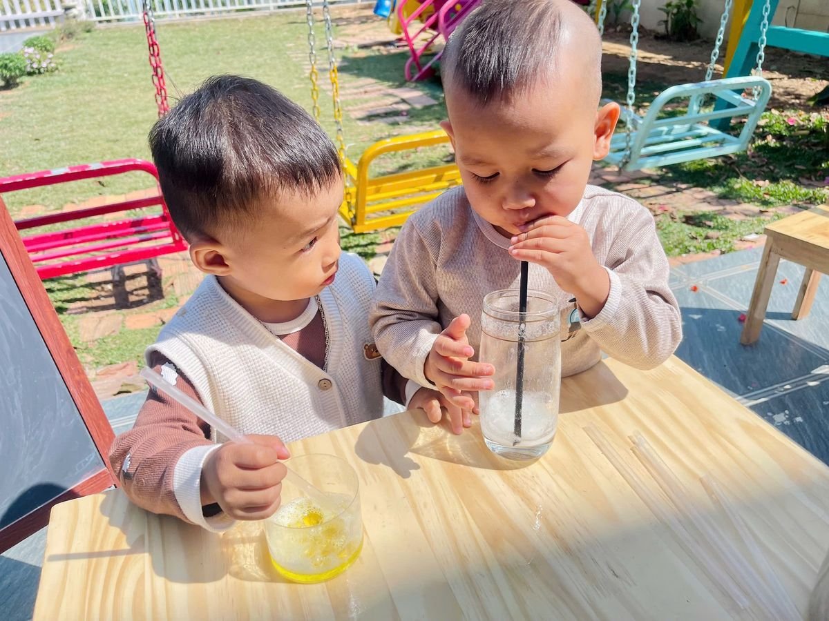 Ảnh hoạt động