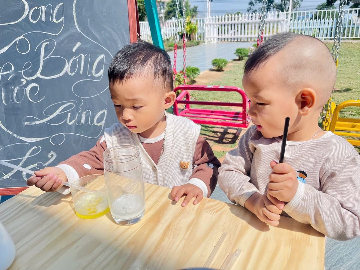 Ảnh hoạt động